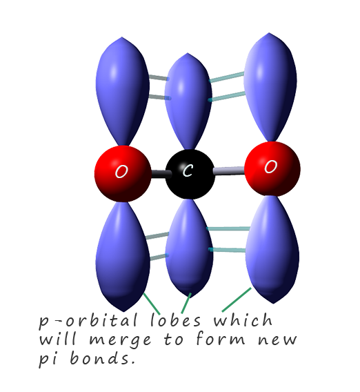 resonance structures for the carboxylate ion